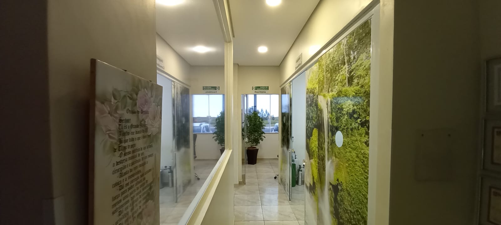 WhatsApp Image 2024-06-12 at 14.59.08.jpeg